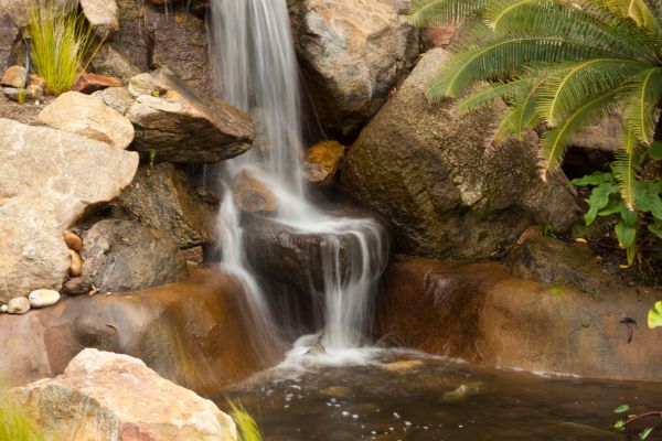 Fonte de água: a paz com os sons relaxantes de água do jardim zen