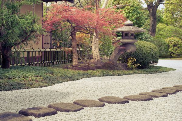 Harmonia e ligações: como a nutrição das Plantas Zen ocorrem?