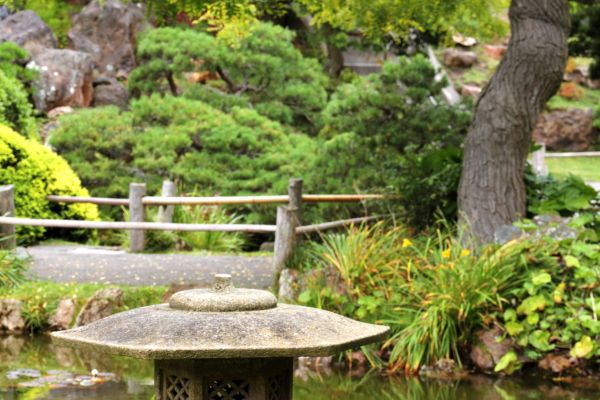 Inspiração Japonesa: Plantas Zen e suas diferentes cores inspirando harmonia