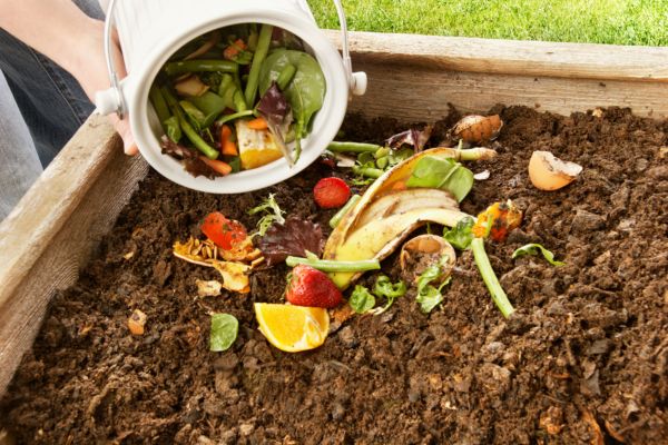 Compostagem: a arte harmônica de produzir e nutrir