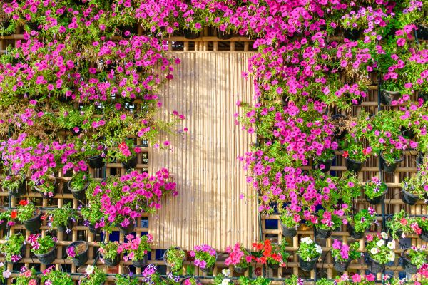 Verticalização em Jardins Internos Zen: Dicas para Criar um Ambiente Inspirador